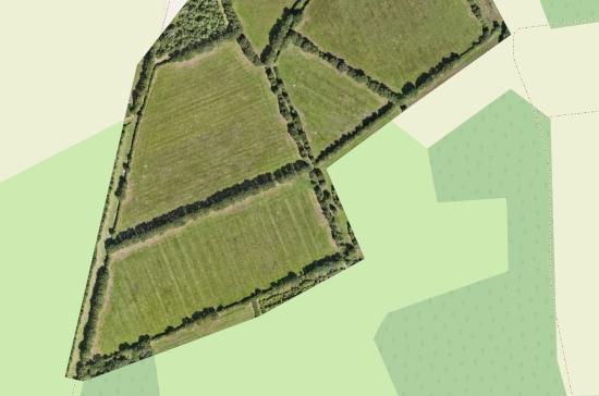 Image ortho-rectifiée détaillant des cultures agricoles, des arbres et des prairies, avec un fond de carte en arrière-plan pour l’analyse des sols.